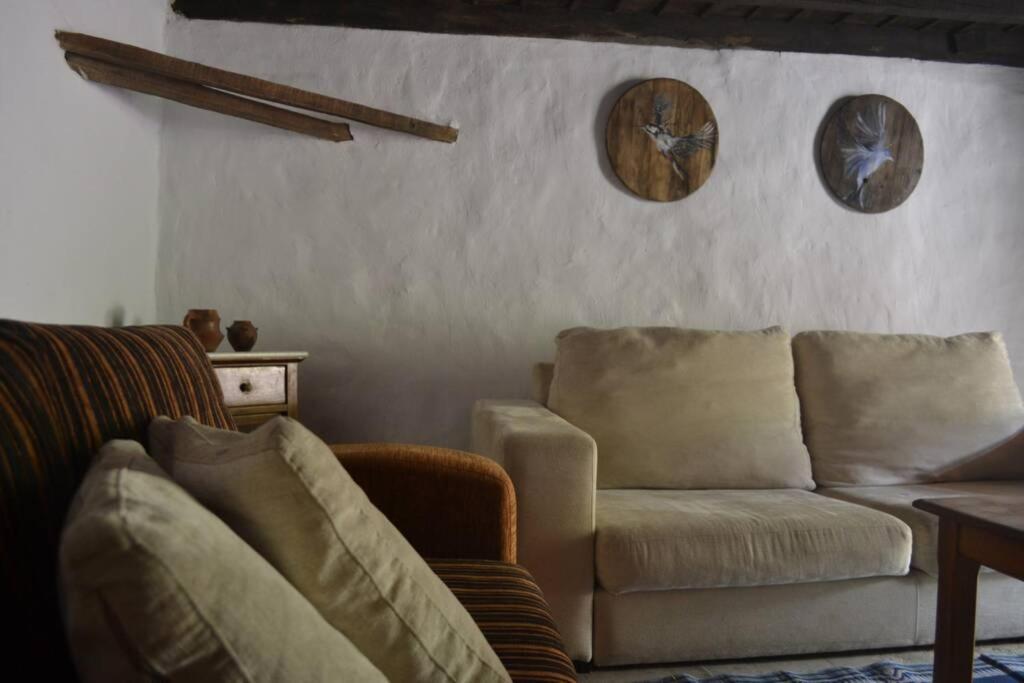Casa Rural Lomito Del Pino เตเฮดา ภายนอก รูปภาพ
