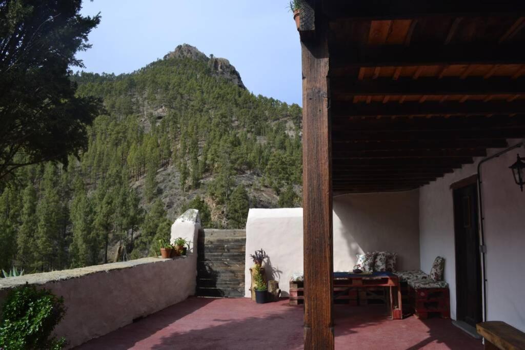 Casa Rural Lomito Del Pino เตเฮดา ภายนอก รูปภาพ