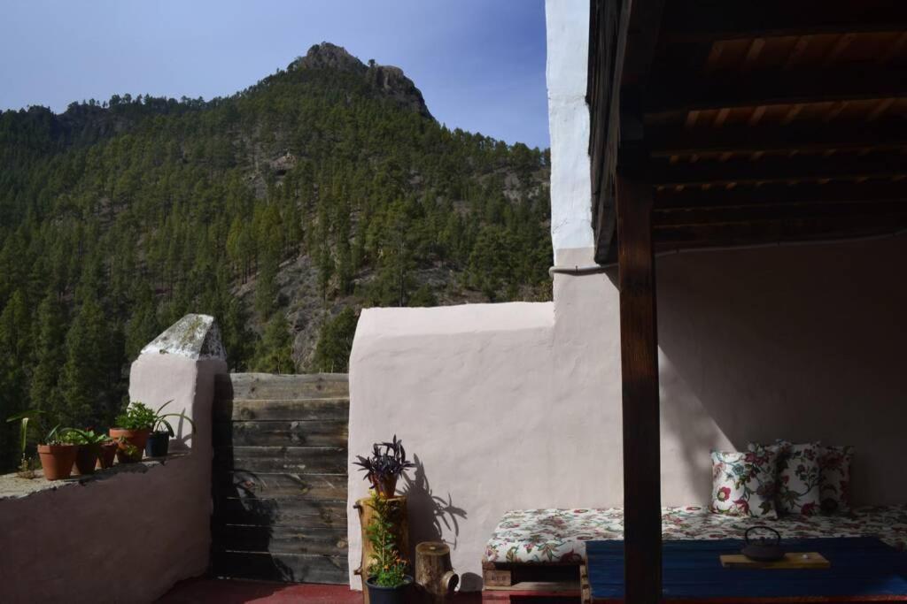 Casa Rural Lomito Del Pino เตเฮดา ภายนอก รูปภาพ