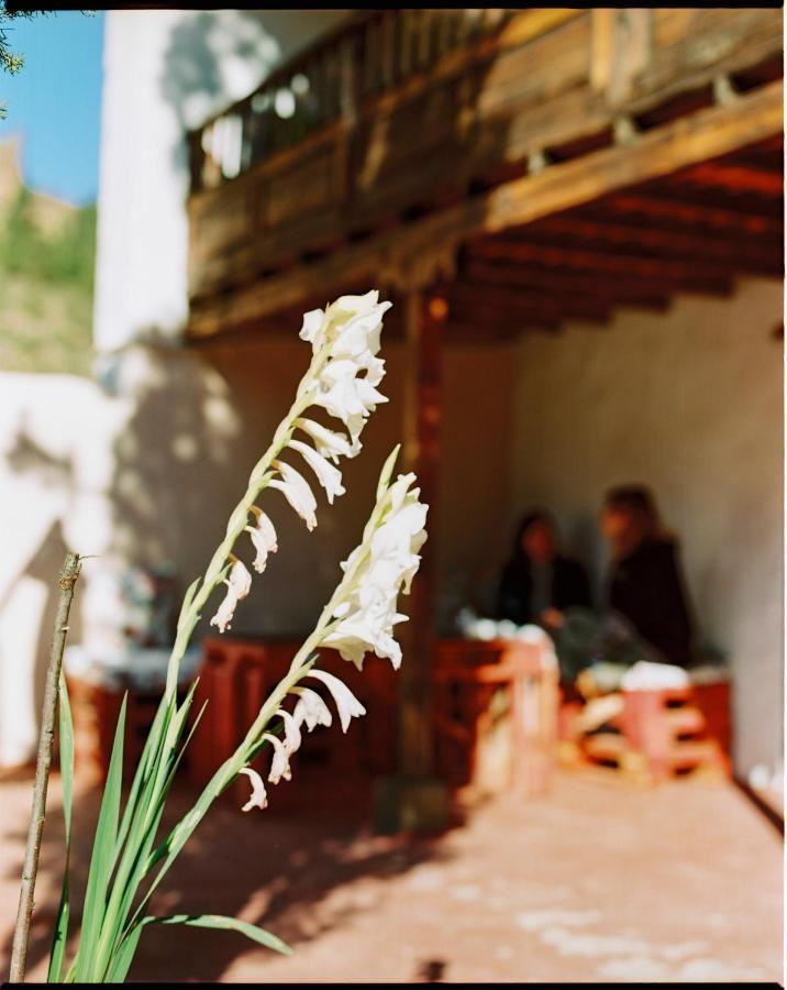 Casa Rural Lomito Del Pino เตเฮดา ภายนอก รูปภาพ