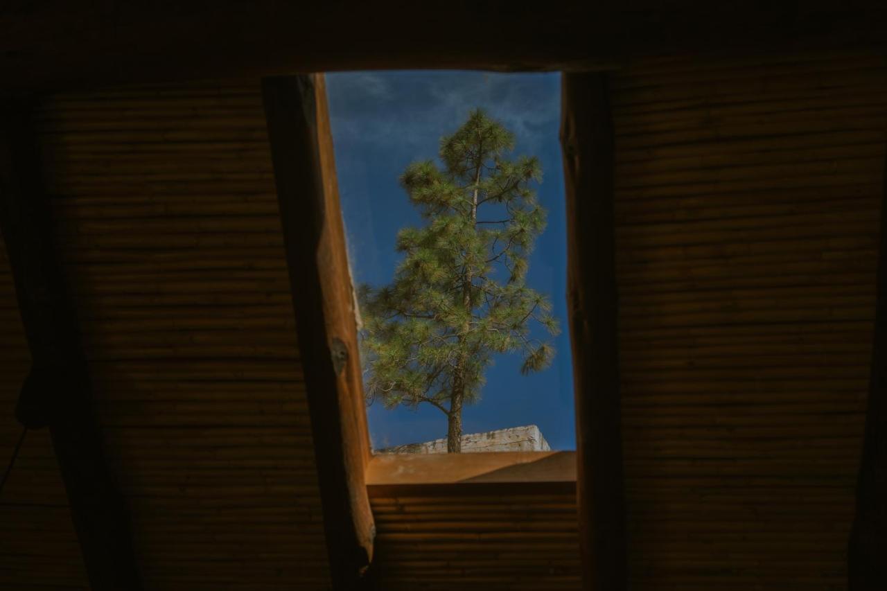 Casa Rural Lomito Del Pino เตเฮดา ภายนอก รูปภาพ