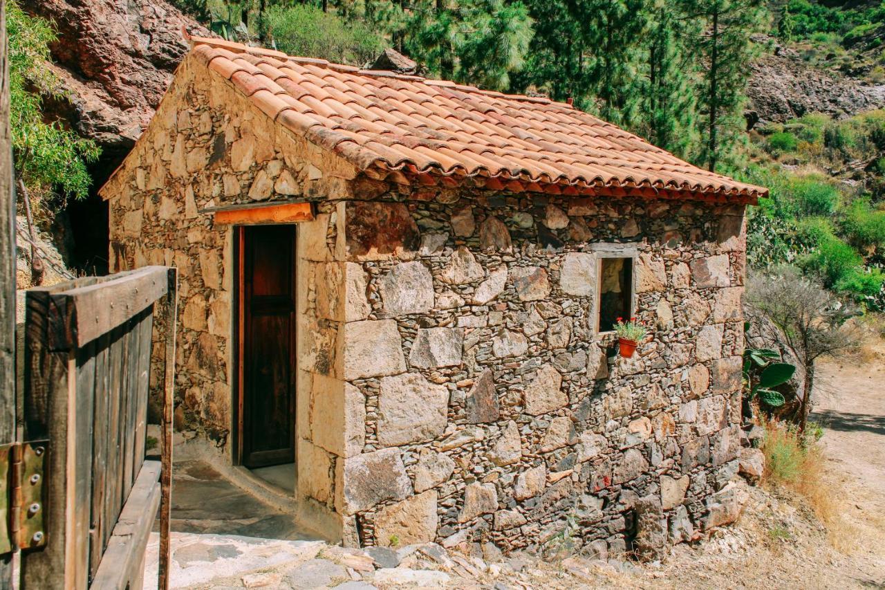 Casa Rural Lomito Del Pino เตเฮดา ภายนอก รูปภาพ