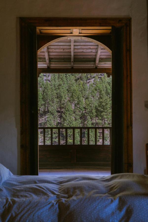 Casa Rural Lomito Del Pino เตเฮดา ภายนอก รูปภาพ